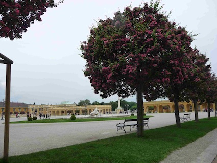 Schˆnbrunn foto giardino