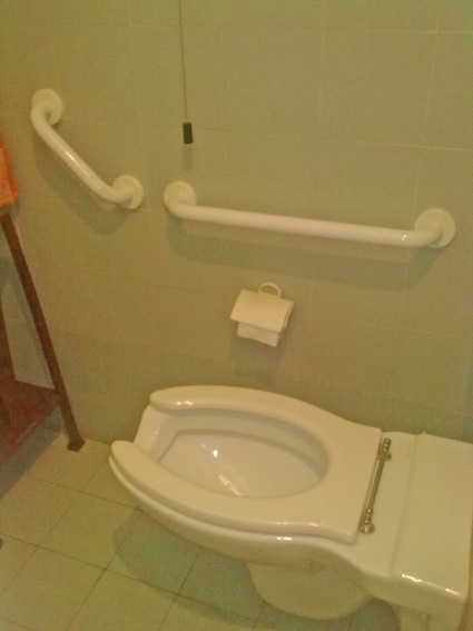 wc accessibile