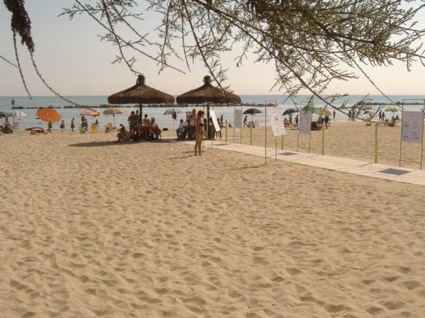 Palme ombra disabili spiaggia a montesilvano